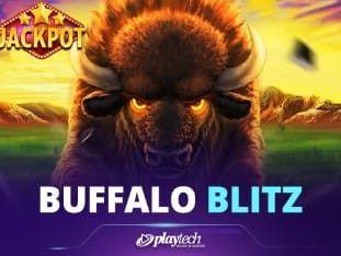 Buffalo Blitz game thumbnail